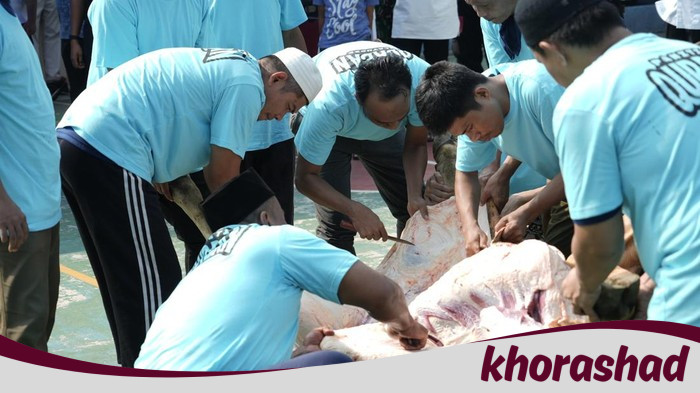 Lapas Cipinang Terima 10 Sapi-14 Kambing, Dirjenpas: Warga Binaan Nikmati Kurban - Update 3