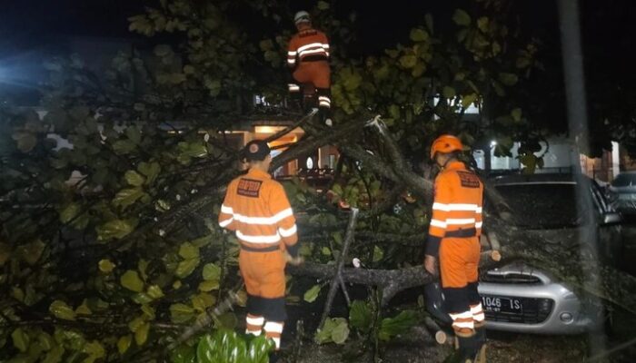 Hujan Deras-Angin Kencang di Bogor, Pohon Tumbang, Mobil Terdampak