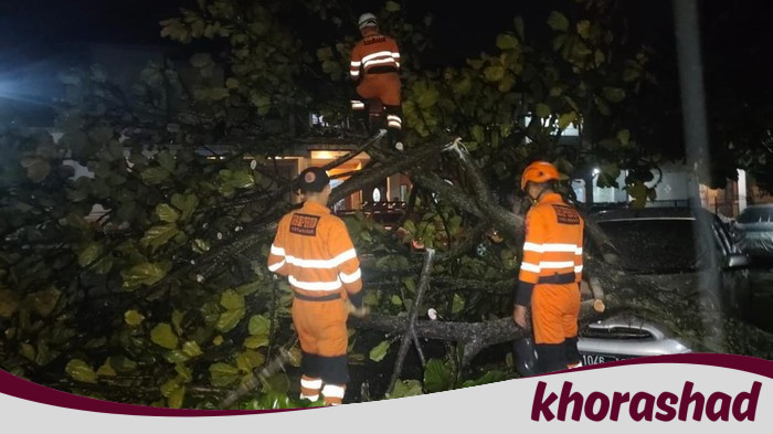 Hujan Deras-Angin Kencang di Bogor, Pohon Tumbang, Mobil Terdampak
