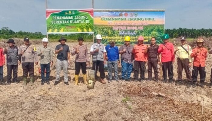 Dukung Ketahanan Pangan Nasional, Polres Dumai Kembali Tanam Jagung – Update 1
