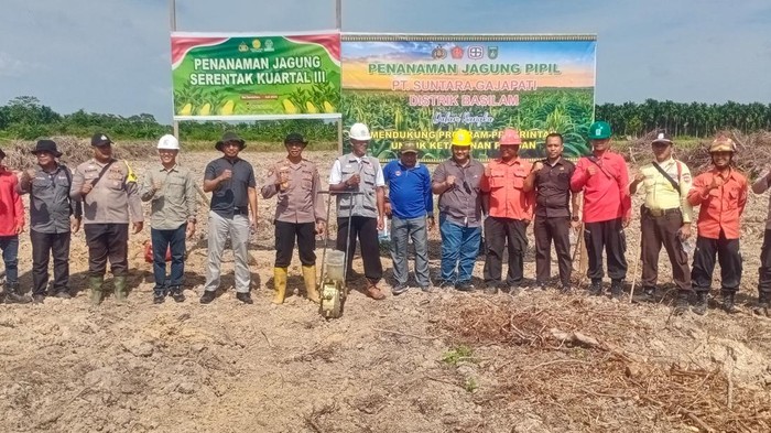 Dukung Ketahanan Pangan Nasional, Polres Dumai Kembali Tanam Jagung - Update 1