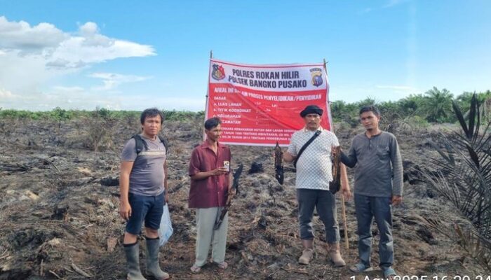 Tragedi Api di Rohil: Lahan Terbakar, Pecandu Rokok Ditangkap Polisi