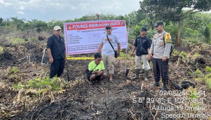 Pria di Inhu Ditangkap, Sebabkan Lahan Gambut Terbakar Selama 1 Jam!