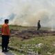 Cariu Bogor Diterjang Api, Warga Bakar Rumput Picu Kebakaran Lahan Massal