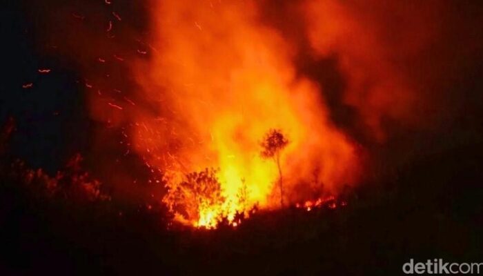 4.000 Hektar Lahan Kebakaran di Prancis, 980 Pemadam-14 Pesawat Dikerahkan – Alternatif 2