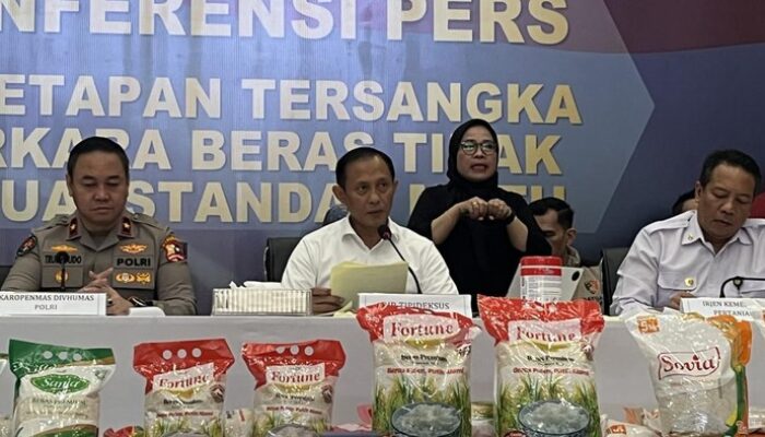 Perkara Beras Oplosan Bikin 3 Bos Produsen Jadi Tersangka – Alternatif 2