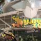 Bandung Zoo Ditutup Sementara, Kenapa? Dampaknya pada Konservasi Hewan