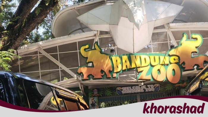 Bandung Zoo Ditutup Sementara, Kenapa? Dampaknya pada Konservasi Hewan