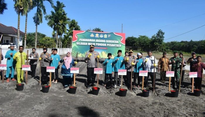 “Polres Kampar Tanam Jagung Serentak di 9 Ponpes, Membangun Ketahanan Pangan yang Berkelanjutan”
