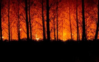 Kebakaran Hutan di Prancis Lalap 11 Ribu Hektare, 1 Warga Tewas – Update 1