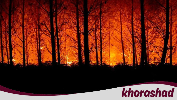 Kebakaran Hutan di Prancis Lalap 11 Ribu Hektare, 1 Warga Tewas - Update 1