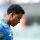 Rodrygo: Sudah Cukup atau Masih Butuh? Membongkar Fakta Mengejutkan di Balik Performa