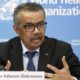 WHO: 99 Orang, Termasuk 29 Balita, Tewas karena Malnutrisi di Gaza — Krisis Kemanusiaan Menyulut Perhatian Global