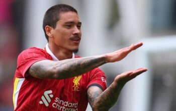 Darwin Nunez Menuju Al Hilal, Leboeuf Klaim: Transfer Ini Hanya Tentang Uang!