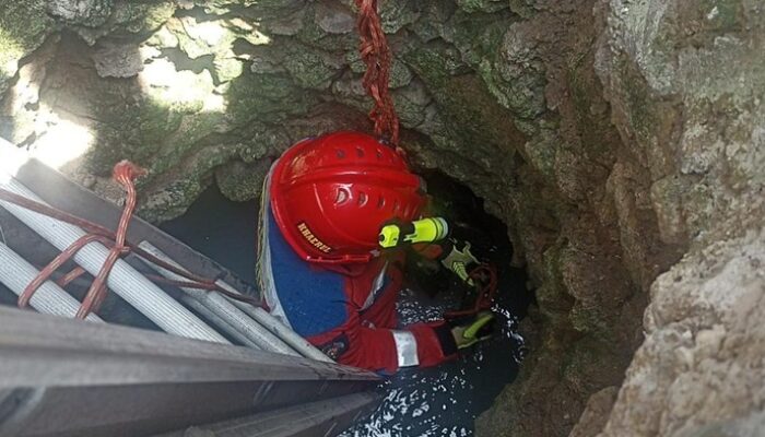 Damkar Tanggap Cepat, 2 Ekor Kambing Warga di Kepulauan Seribu Nyebur Sumur Ditangani Secara Profesional