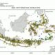3.375 Gempa di Juli 2025, Apakah Bumi Menyebutkan Peringatan?