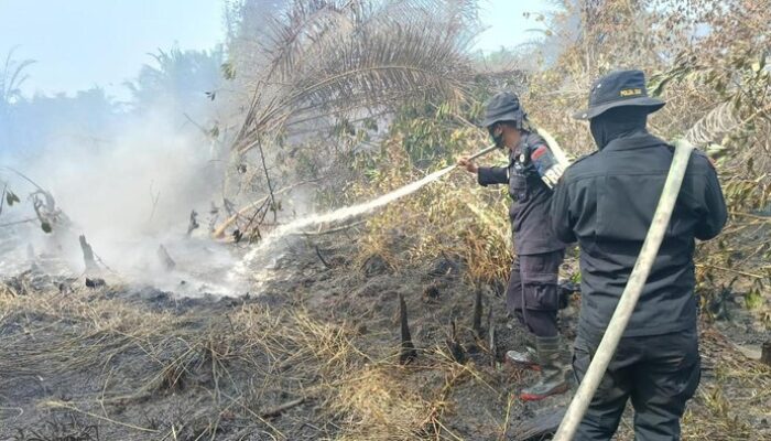 Momen Perjuangan Iptu Donald ‘Pahlawan Karhutla’ Lawan Kebakaran di Riau – Update 2