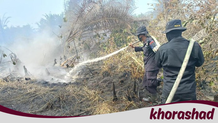 Momen Perjuangan Iptu Donald 'Pahlawan Karhutla' Lawan Kebakaran di Riau - Update 1