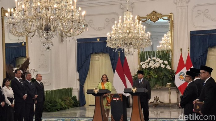 Prabowo Sambut Baik Peru Dukung Palestina Merdeka: Wujudkan Solusi 2 Negara, Apakah Ini Signal Baru bagi Konflik Timur Tengah?
