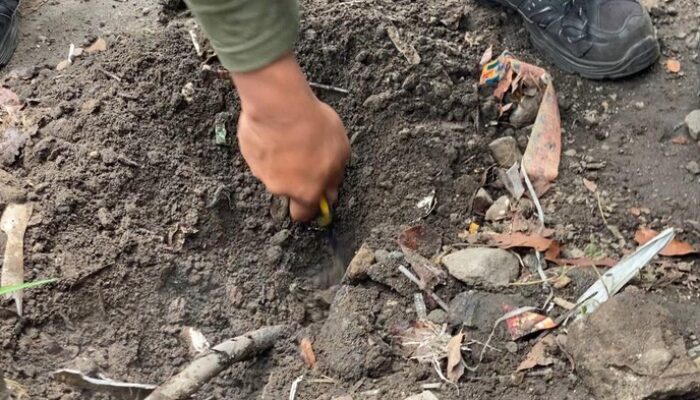Misteri Asap Panas Menyebabkan Heboh di Depok, Pemerintah Diminta Tanggap!