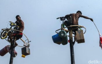 Dilarang! Ini Alasan Pemkab Aceh Barat-Aceh Jaya Prohibit Lomba Panjat Pinang