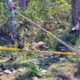 “Tragedi Hutan Ponorogo: Suami Susun Skenario Kematian Istrinya, Korban Dikeroyok Tega!”