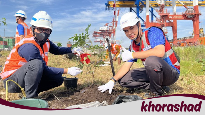 HUT RI Ke-80, Pelindo Petikemas Tanam 1.500 Pohon, Gugurkan Waktu untuk Bumi