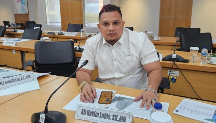 Jembatan Buka Tutup Gandaria: Contoh yang Layak Ditiru Menurut Legislator