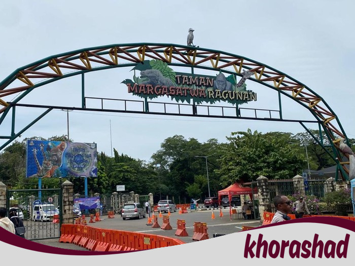 Legislator DKI Beri Lampu Hijau Ragunan Buka Malam, Cita-Citakan Taman Safari di Ibukota