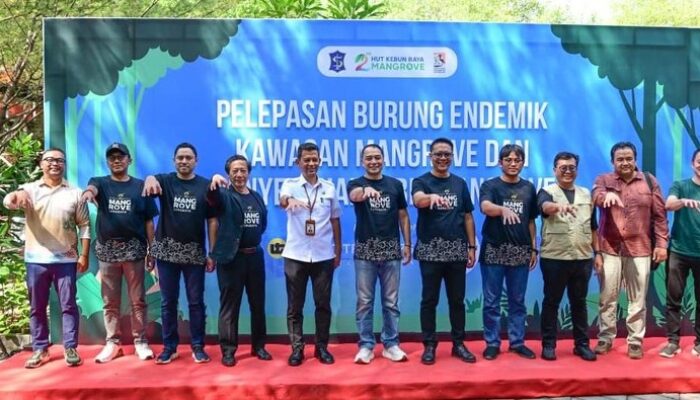 Pemkot Surabaya-BRIN Siapkan Perpustakaan Bakau di Kebun Raya Mangrove – Update 2