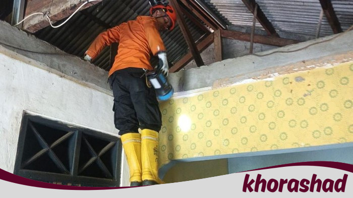 Hendak Mandi, Warga Bogor Malah Lihat Ular Sanca di Plafon - Update 1