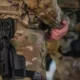 Trump Kirim Tentara Bersenjata ke Washington DC, Apakah Ini Pemberontakan?