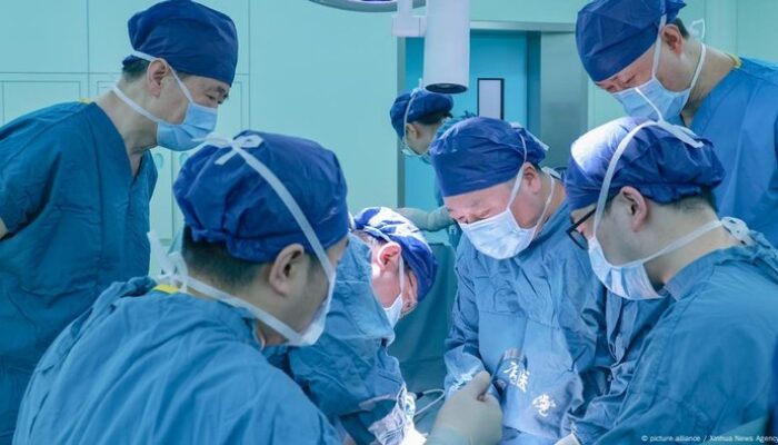 Dari Babi ke Manusia: Transplantasi Paru-Paru Inilah yang Mengguncangkan Dunia Medis