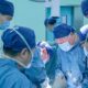 Dari Babi ke Manusia: Transplantasi Paru-Paru Inilah yang Mengguncangkan Dunia Medis