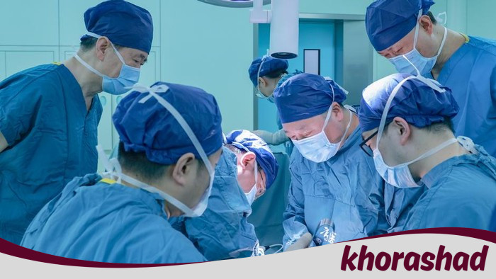 Dari Babi ke Manusia: Transplantasi Paru-Paru Inilah yang Mengguncangkan Dunia Medis