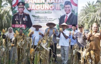 Polres Kampar Berkontribusi 3 Ton Jagung Pipil, Kuatkan Ketahanan Pangan Riau