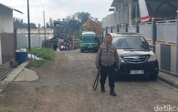 Viral Kabar Macan Tutul Lembang Park & Zoo Lepas, Polisi Sisir Lokasi – Update 2