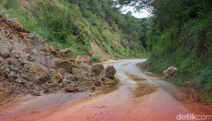 Bencana Tanah Longsor Mengejutkan: 1.000 Nyawa Hilang di Sudan, Cuma 1 Selamat