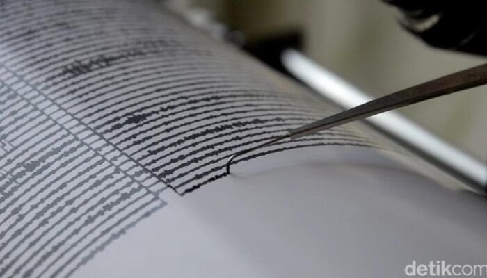 Guncangan Gempa M 4,7 di Sarmi Papua: Apakah Gelombang Tsunami Menjelma?
