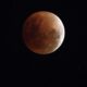 **Simak, Ini Tata Cara Salat Gerhana Bulan saat Ada Blood Moon 7 September**