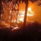 Tragedi Lebak: 8.500 Ayam Jadi Korban Kebakaran Kandang Ternak, Peternak Terpukul