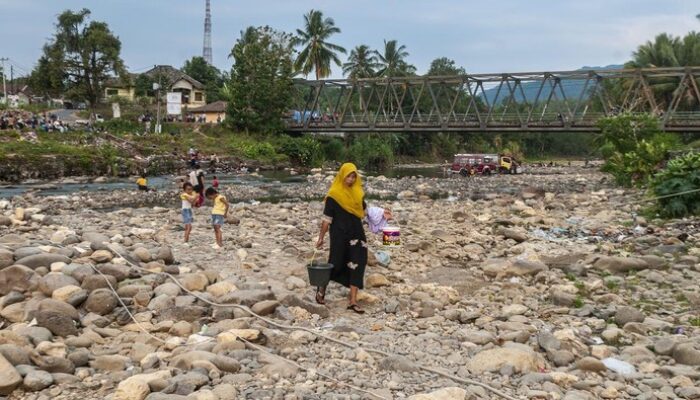 Sungai Ciujung Jadi rumah Buaya, BPBD Serang Imbau Warga Hati-hati!