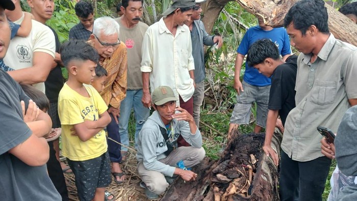 Misteri Tersembunyi: Kades Bicara Tentang Temuan Kerangka Manusia di Pohon Sumut
