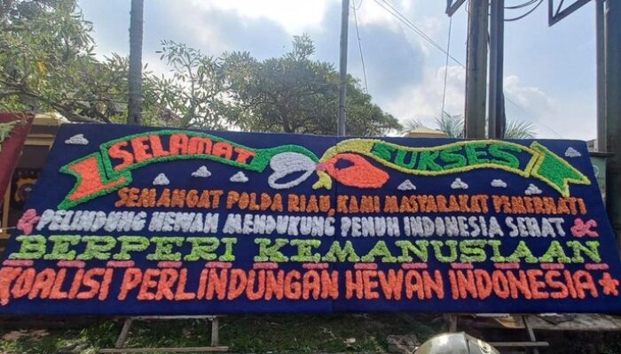 Tragedi Jagal Anjing di Riau, Polda Terima Ratusan Rangkaian Bunga dari Wartawan Anjing