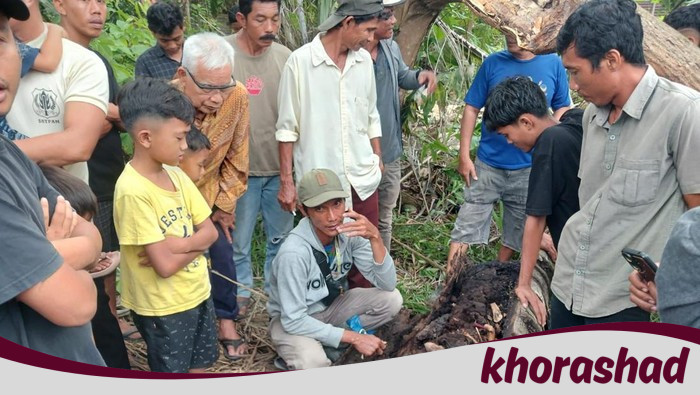 **Kerangka Manusia dalam Pohon Aren di Sumut: Kisah Horor atau Misteri yang Tak Terpecahkan?**