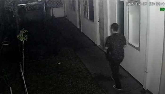 Tragedi Menteng: Keluarga Diplomat Kemlu yang Tewas Minta Perlindungan LPSK