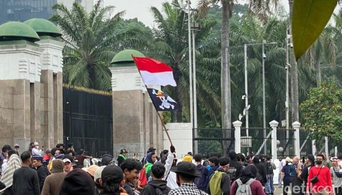 Dari Indonesia hingga Nepal-Prancis: Bendera One Piece, Simbol Rasa yang Mendunia!