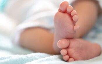 Bocil di Bogor Temukan Bayi Misterius, Perkebunan Megamendung Terheboh!