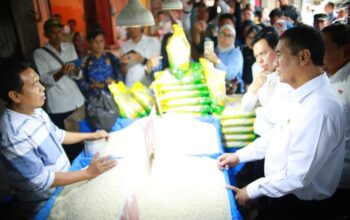 “Mentan Amran Sidak Pasar Panorama Bengkulu, Harga Beras Mulai Turun, Namunmasalah Tak Berakhir!”