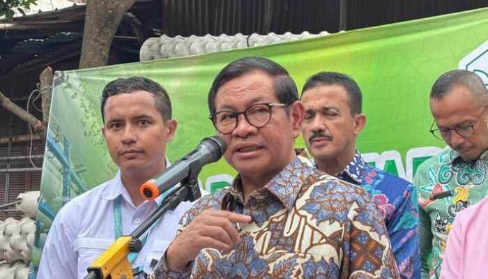 Tinjau Pertanian Vertikal, Pramono Usul Gunakan Solar Panel Agar Hemat Listrik – Update 1